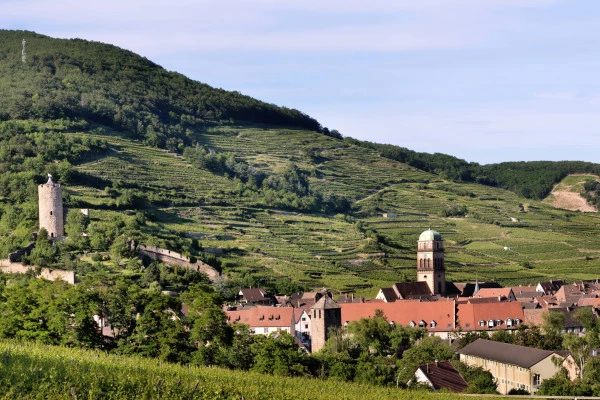 Vins d'Alsace | KAYSERSBERG #10