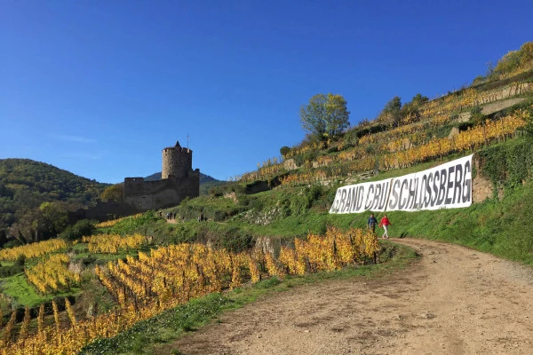 Vins d'Alsace | KAYSERSBERG #10