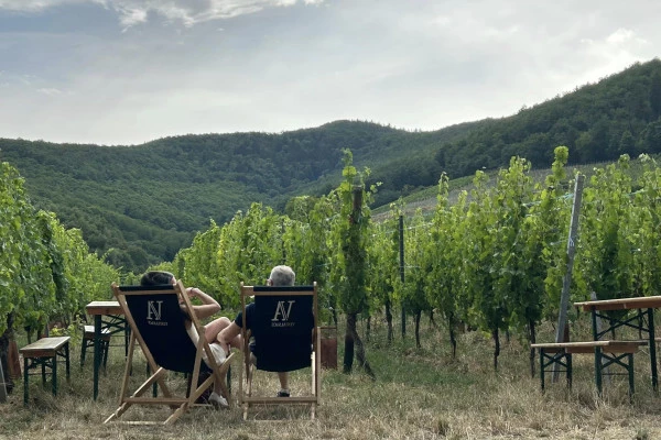 Vins d'Alsace | KIENTZHEIM #3