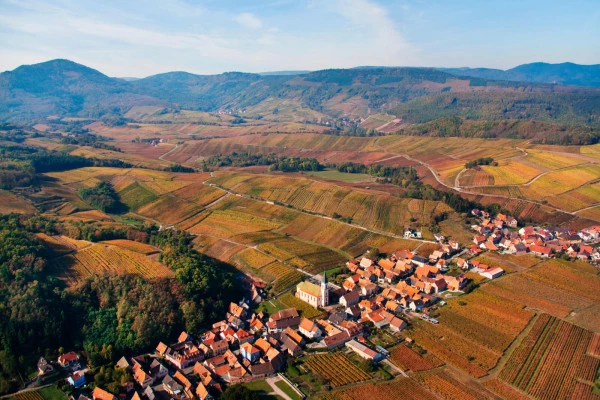 Vins d'Alsace | NOTHALTEN #4