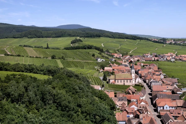 Vins d'Alsace | NOTHALTEN #4