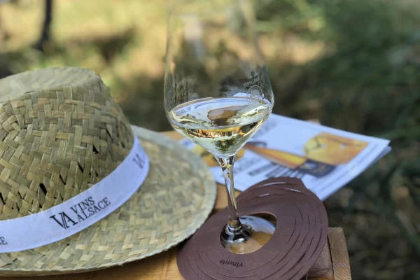 Vins d'Alsace | ORSCHWIHR #1