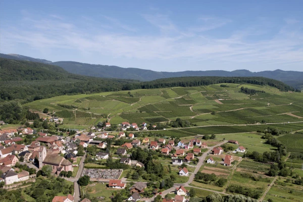 Vins d'Alsace | ORSCHWIHR #5