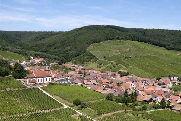 Vins d'Alsace | ORSCHWILLER #13