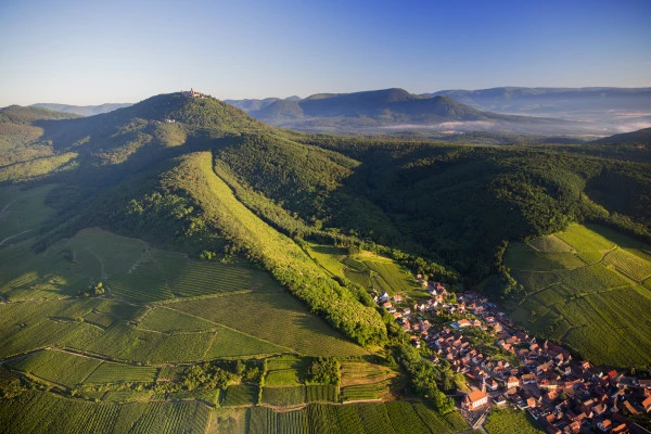 Vins d'Alsace | ORSCHWILLER #4