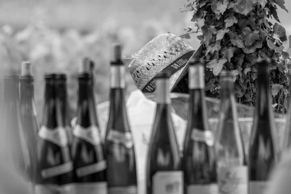 Vins d'Alsace | ORSCHWILLER #4