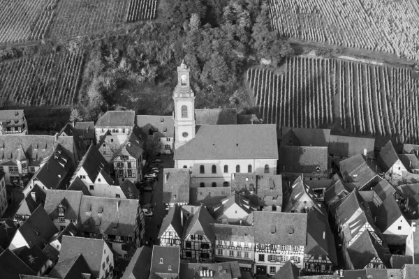 Vins d'Alsace | RIQUEWIHR #8