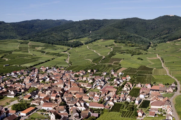 Vins d'Alsace | WETTOLSHEIM #6