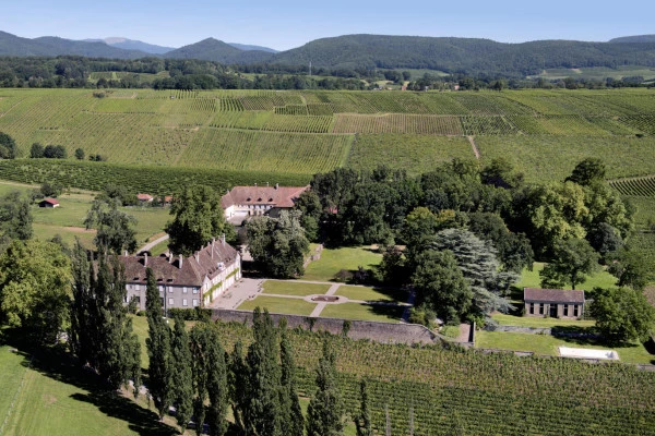 Vins d'Alsace | WUENHEIM #9
